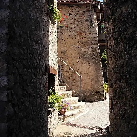 Natura Leofreni